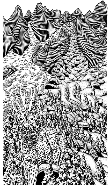 Gezeichnetes Bild in Schwarz und Weiß. In einer Berglandschaft aus Linien fügen sich ein Rehbock sowie ein Schneehuhn ein. Sie sind auf den ersten Blick nicht zu erkennen. Die Tiere sind deutlich überproportional gehalten.