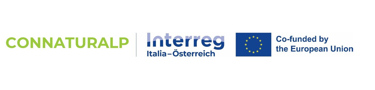 Logo INT Project 3 Pr2