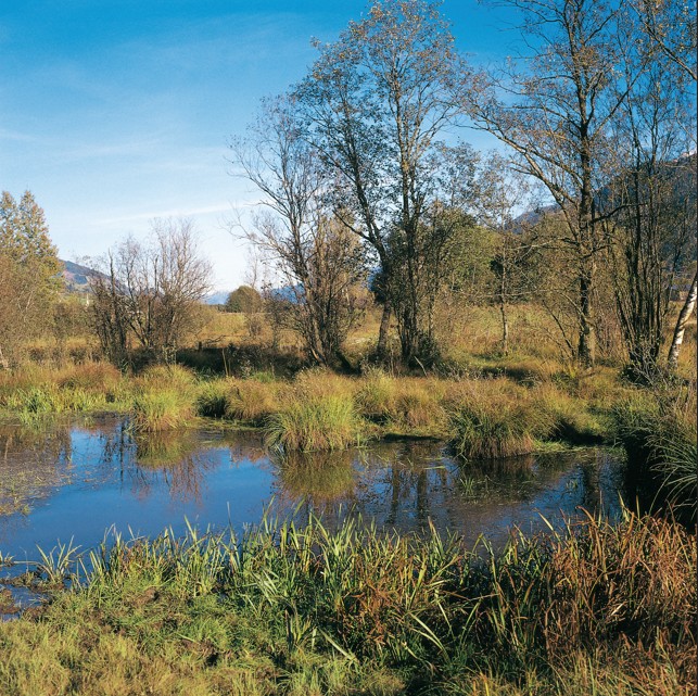 Pirtendorf c Eberhard Stueber