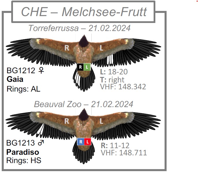 Melchseeklein