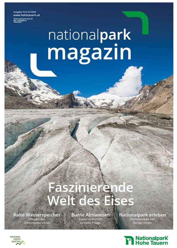 titelseite magazin