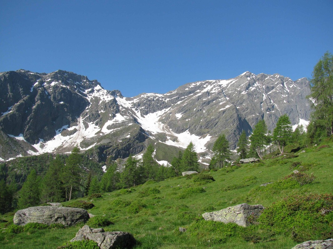 Zone3 Gartlalm 1 NPHT AichhornKatharina