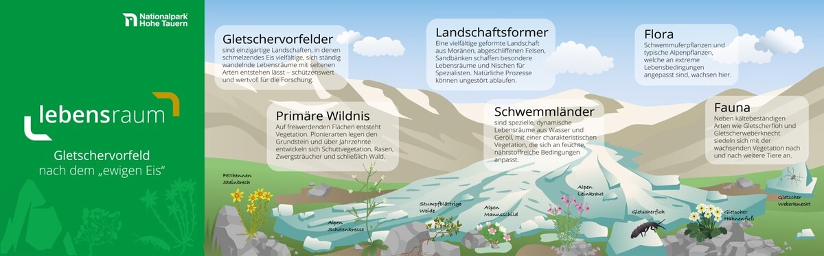 Gletscher nach dem ewigen Eis