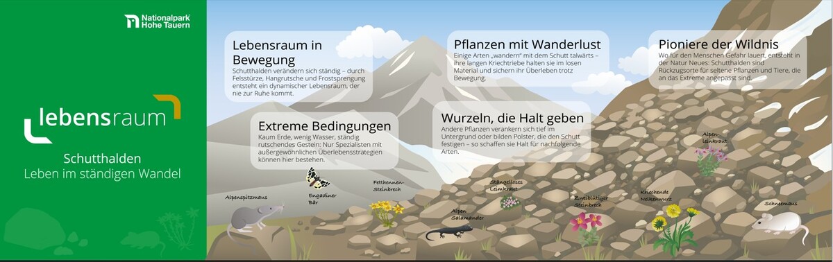 Infografik zu Lebensraum Schutthalde