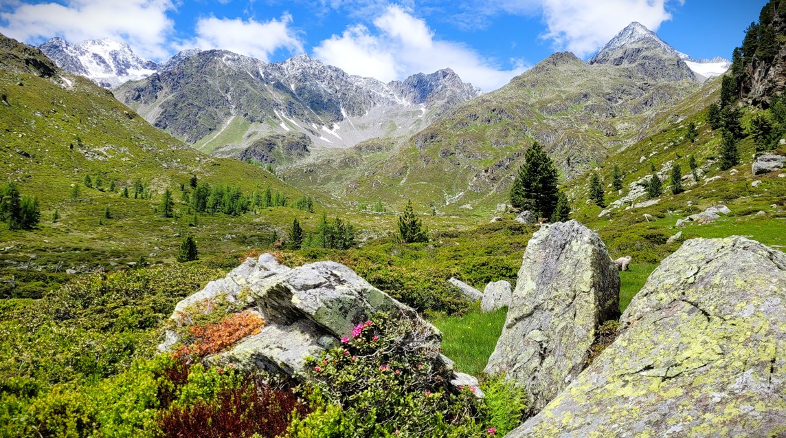 Blick ins Debanttal c NPHT Angelika Riegler