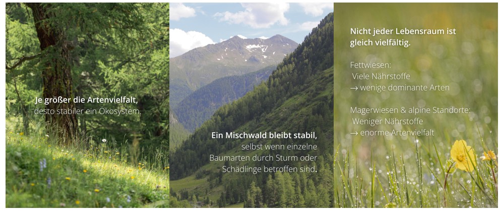 Fotoreiche von artenreicher Wiese, Bergwald und Panoramablick Berge