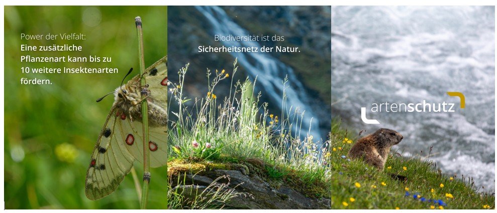 BlogArtenvielf2slider2