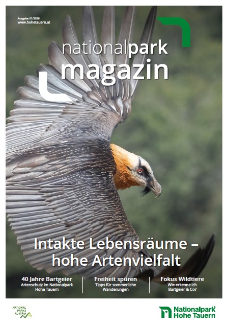 TitelMagazin2026