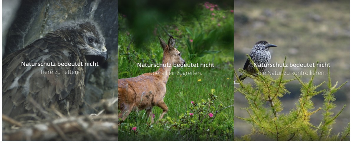 Bilderreihe zu Naturschutz