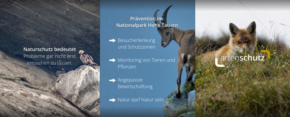 Bilderreihe zu Naturschutz