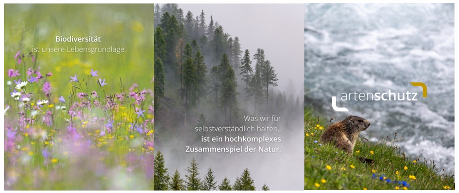 Slider ARtenschutz 2