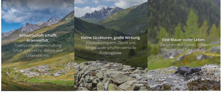 BlogKultur
