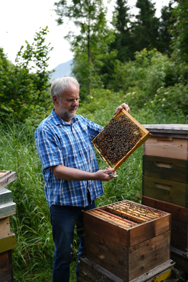 Horst Ploessnig bei der Ernte der Bienenwaben cNPHT Wernisch