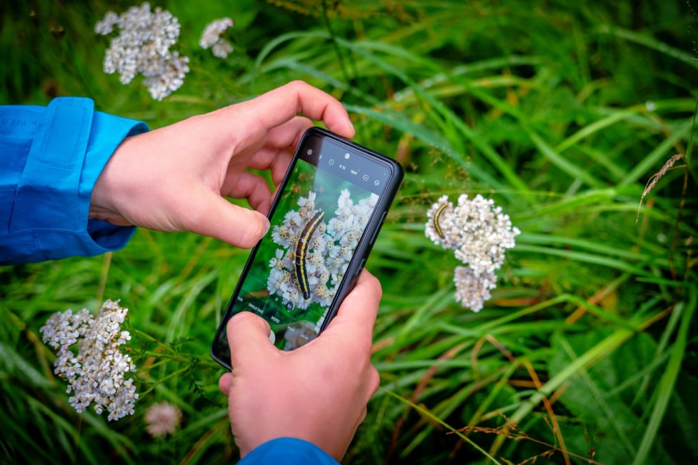 Notebook zur Datenerforschung im Nationalpark Hohe Tauern