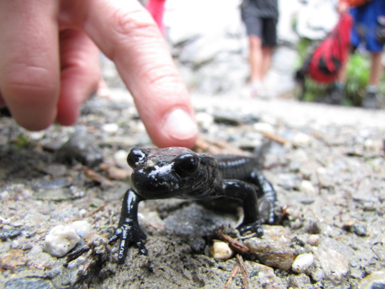 Junior Ranger auf Tuchf&uuml;hlung c NPHT Angermann