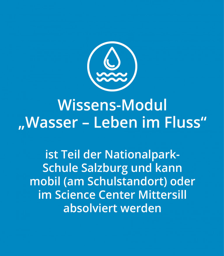 Wissens-Modul &bdquo;Wasser &ndash; Leben im Fluss&ldquo; ist Teil der Nationalpark-Schule-Salzburg und kann mobil am Schulstandort oder im Science Center Mittersill absolviert werden &copy; NPHT
