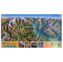 Panoramic map 
