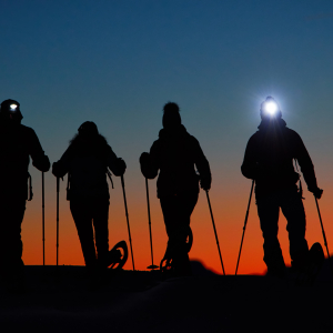 Vier Schneeschuhgeher:innen stehen vor einem vom Sonnenuntergang rot gefärbten Himmel.