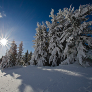 Nationalpark HoheTauern im Winterkleid