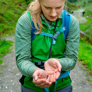 Sylvia Flucher ging mit kleinem Bergmolch auf Tuchfühlung. © NPHT F. Kreidl-Glück