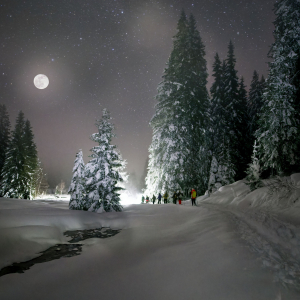 2024-Dem-Vollmond-entgegen-im-Wasenmoos-c-FKreidlGlueck