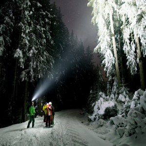 2024-Exkursion-bei-Nacht-ins-Wasenmoos-c-FKreidlGlueck