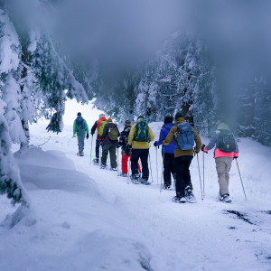 2024-Gruppe-wandert-durch-Wald-nahe-Wasenmoos-c-FKreidlGlueck