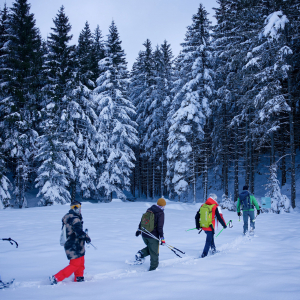 2024-Gruppe-wandert-in-Richung-Wald-nahe-Wasenmoos-c-FKreidlGlueck