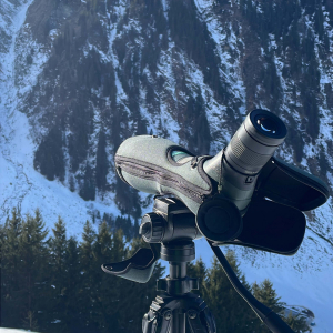 SpektivHollersbachtal_c_Keller