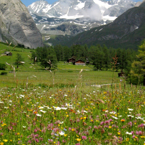 Koednitztal_012