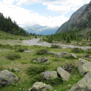 Zone1 Gradenmoos  c NPHT AichhornKatharina