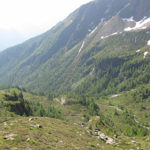 Zone3 Blick auf die Gartlalm c NPHT Aichhorn Katharina
