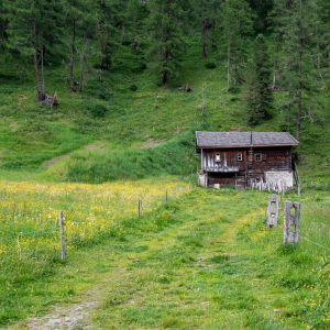 008 DSC_0258 Almhütte, Andreas Rauchegger (Large)