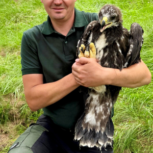 Gerald Lesacher, Nationalpark-Ranger und Wildtierhüter, begleitete und unterstützte das Projekt tatkräftig im Gelände.
