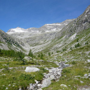 Blick ins Patschertal. c NPHT / Jurgeit