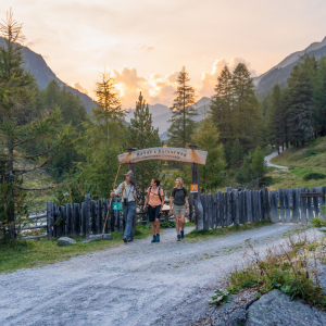 Natur- und Kulturweg beim Oberhauser Zirbenwald. c NPHT / Maier