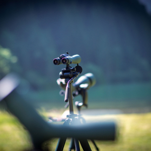 Faszinierende Beobachtungen mit hochpräziser Ferngläser und Teleskope. SWAROVSKI OPTIK stellt hochwertige Testgeräte von SWAROVSKI OPTIK beim NatureWatch © NPHT/Florian Kreidl-Glück