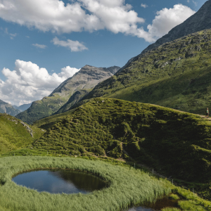 c Nationalpark Hohe Tauern_Mathäus Gartner_Rangerwanderung_Jagdhausalm (30)-min