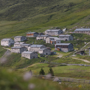 c Nationalpark Hohe Tauern_Mathäus Gartner_Rangerwanderung_Jagdhausalm (43)-min