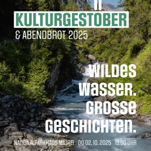 Plakat Kulturgestöber Iselausstellung