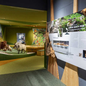 Blick in die Ausstellung im NationalparkzentrumMittersill_cFranz Reifmueller