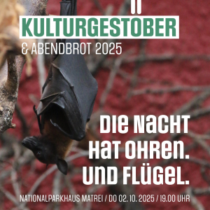 Plakat Kulturgestöber zu Fledermausexkursion