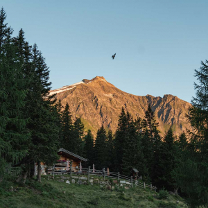 Gainschniggalm im Abendlicht © Kathrin Egger