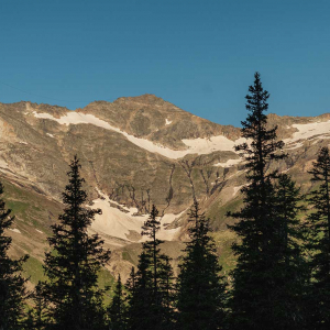 Die Umgebung rund um die Gainschniggalm lädt zum Entspannen ein. © Kathrin Egger