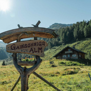 Entdeckt man diese Beschilderung, ist es nicht mehr weit auf die Gainschniggalm. © Kathrin Egger