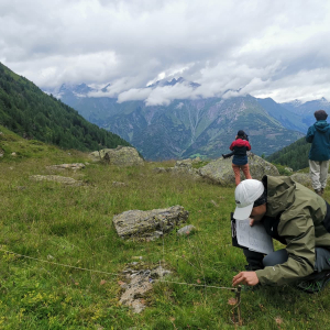Drei Personen stehen auf einer Bergwiese. Die Person im Vordergrund bestimmt Gräser in einem Transekt.