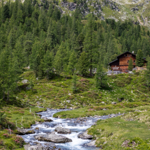 Wanderweg mit Wildbach im Hintergrund Lienzer H&uuml;tte c NPHT Assil Kastl