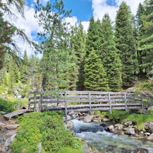 Bruecke bei Einstieg in den Themenweg im Debanttal c NPHT Alexander Grimm