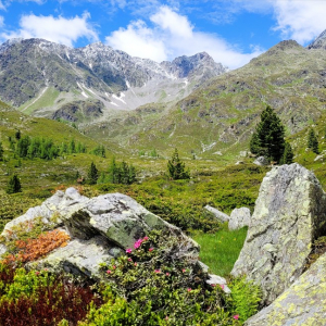 Blick ins Debanttal c NPHT Angelika Riegler