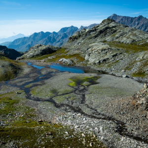 Im Debanttal Verlandungszone c Sebastian Hoehn